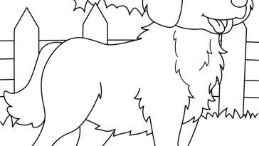 Golden Retriever Coloring Page